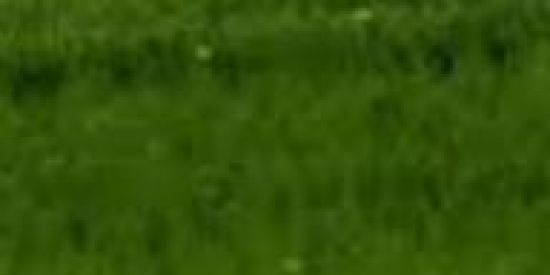 Imagem do grupo de WhatsApp 12 mamada