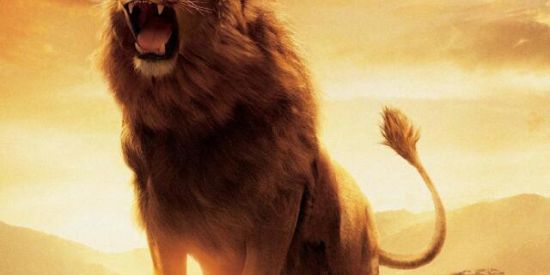 Imagem do grupo de WhatsApp Leão da Tribo de Judá