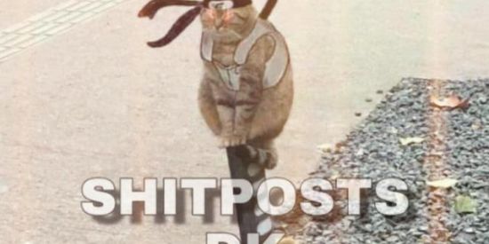 Imagem do grupo de WhatsApp 🌪️Sʜɪᴛᴘᴏsᴛ_dk🐊