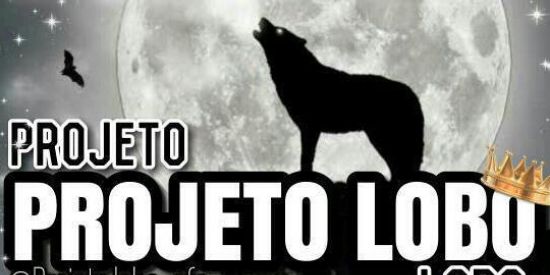 Imagem do grupo de WhatsApp 🐺•| E01 ♔•ⱠɃ'ร•♔ 👑яєι lєα̃σ👑