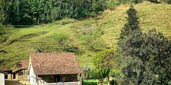 Imagem do grupo de WhatsApp Coisas da roça