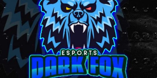 Imagem do grupo de WhatsApp Recrutamento DARK FOX