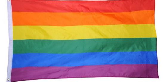 Imagem do grupo de WhatsApp LGBT