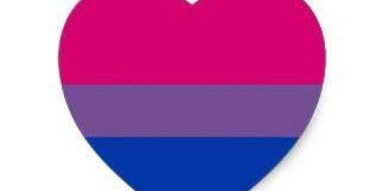 Imagem do grupo de WhatsApp Bissexuais