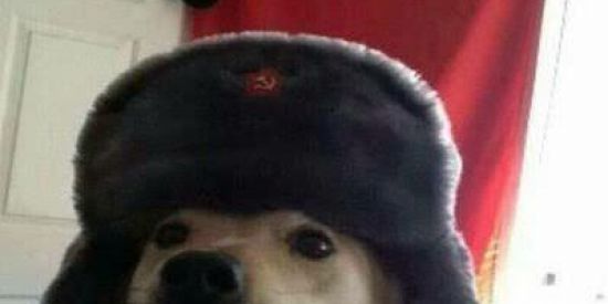 Imagem do grupo de WhatsApp Posto Ipiranga 😔👌🏻