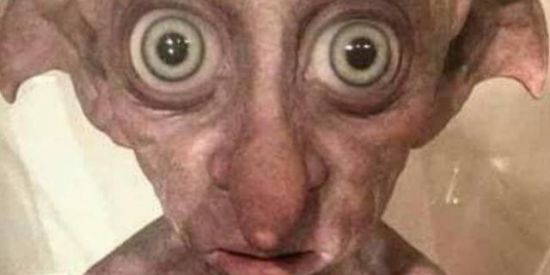 Imagem do grupo de WhatsApp Videos engraçados