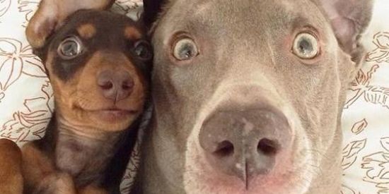 Imagem do grupo de WhatsApp Baguncinha 😎