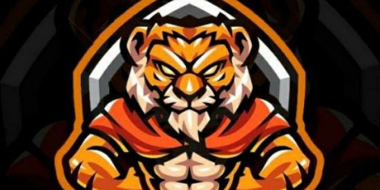 Imagem do grupo de WhatsApp Recrutamento Kns🐯