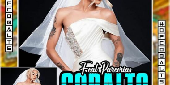 Imagem do grupo de WhatsApp recrutando cbs