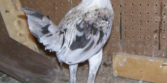 Imagem do grupo de WhatsApp ✨TUDO LIBERADO NESSE Gb✨