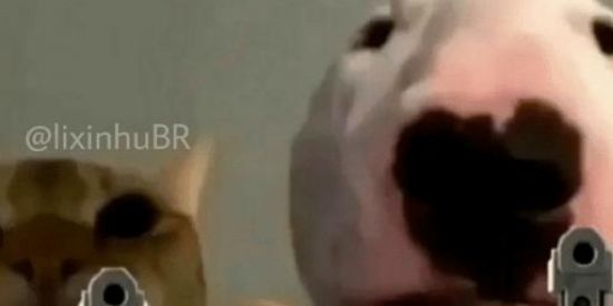 Imagem do grupo de WhatsApp ✨ッɴᴏᴠᴀs ᴀᴍɪᴢᴀᴅᴇsッ✨