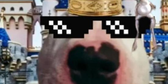 Imagem do grupo de WhatsApp Só amizades🔞