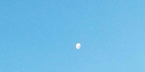 Imagem do grupo de WhatsApp AMIGOS VIRTUAL