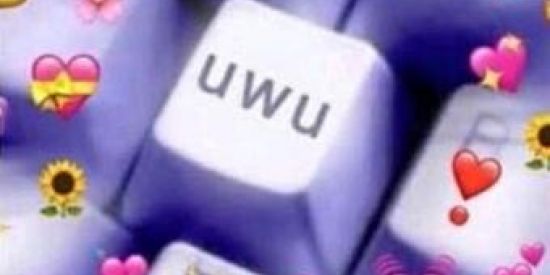 Imagem do grupo de WhatsApp uwu..