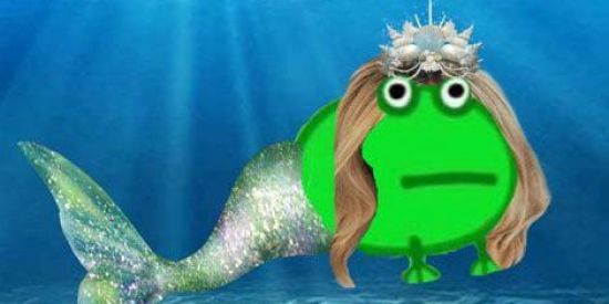 Imagem do grupo de WhatsApp Quem toma menos banho 🚿🐸