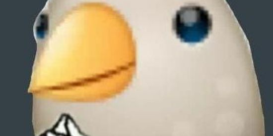 Imagem do grupo de WhatsApp Tédio 2021🐦