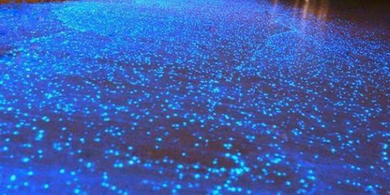 Imagem do grupo de WhatsApp Conectados🆙🔛