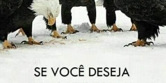 Imagem do grupo de WhatsApp MUDE SUA VIDA #1