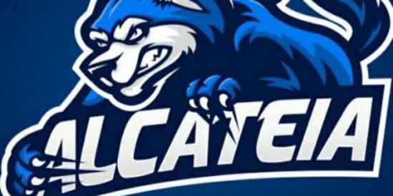 Imagem do grupo de WhatsApp RECRUTAMENTO ALCATEIA