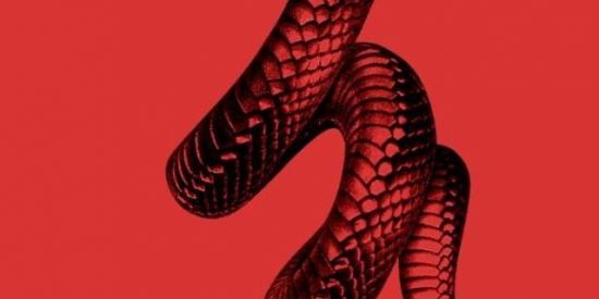 Imagem do grupo de WhatsApp Triagem 🐍THE IMMORTALS🐍