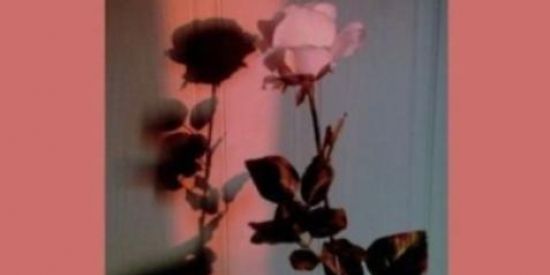 Imagem do grupo de WhatsApp ||©huv@ d& $€GuiDOR€s||