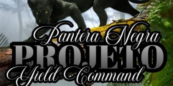 Imagem do grupo de WhatsApp Engajamento no insta