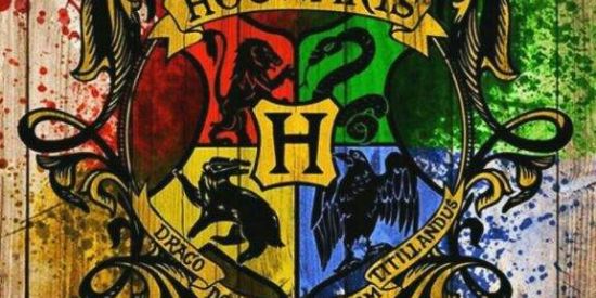 Imagem do grupo de WhatsApp 💚💛 Chapéu Seletor 💙❤️