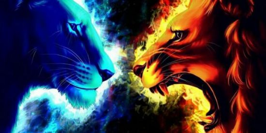 Imagem do grupo de WhatsApp amizade ou namora❤️🤞