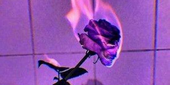 Imagem do grupo de WhatsApp Amo vocês