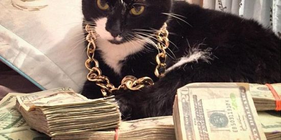 Imagem do grupo de WhatsApp ❀✠Yakuza✠❀ (YKZ) BASE