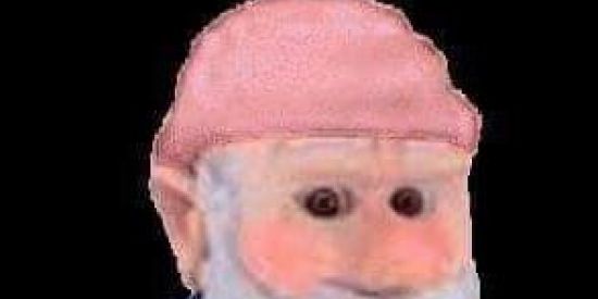 Imagem do grupo de WhatsApp ❣️💥SASSARICANDO💥❣️