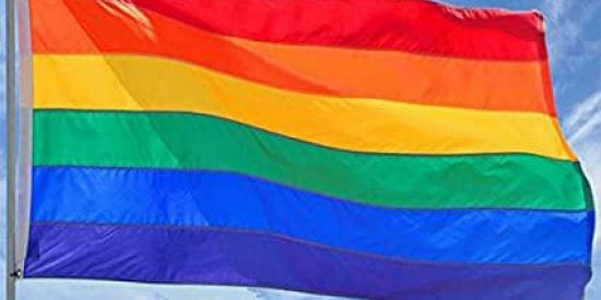 Imagem do grupo de WhatsApp Familia LGBT🌈