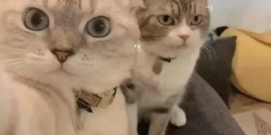 Imagem do grupo de WhatsApp ✮༝ ∆MIZ∆DES 1.0༝✮