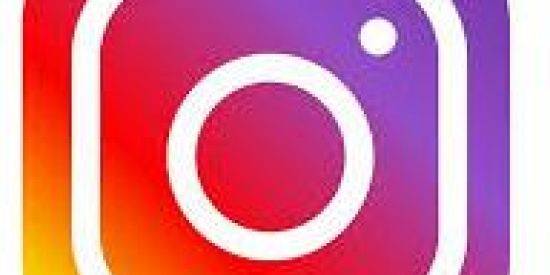 Imagem do grupo de WhatsApp Seguidores no insta ✅🍒