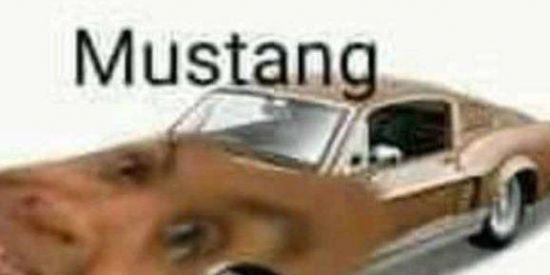 Imagem do grupo de WhatsApp ⚜️Cabeça de manga⚜️