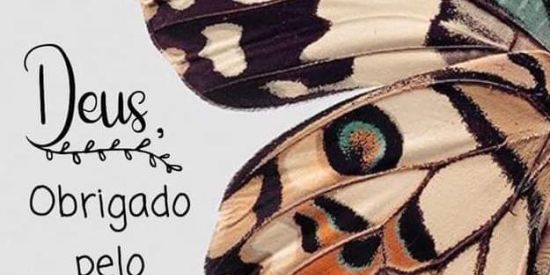 Imagem do grupo de WhatsApp Vou te ama