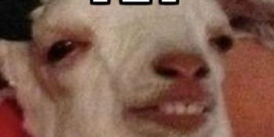 Imagem do grupo de WhatsApp 🛐cururus da quebrada🛐