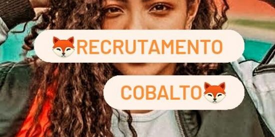 Imagem do grupo de WhatsApp 🦊Recrutamento Cobalto🦊