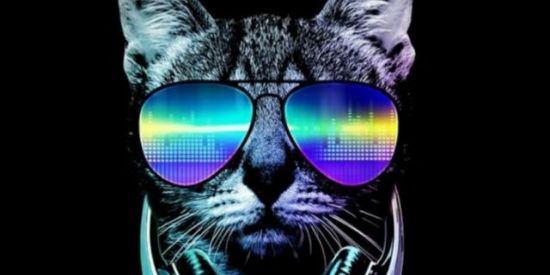 Imagem do grupo de WhatsApp 👑Reino das Figurinhas👑