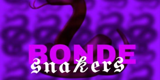 Imagem do grupo de WhatsApp BONDE S͛N͛A͛K͛E͛