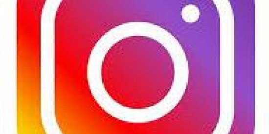 Imagem do grupo de WhatsApp Seguidores no insta ✅real