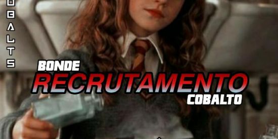 Imagem do grupo de WhatsApp RECRUTAMENTO🦊🦄