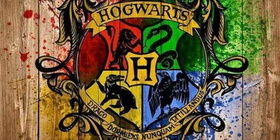 Imagem do grupo de WhatsApp Chapéu Seletor