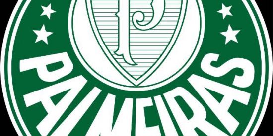 Imagem do grupo de WhatsApp PALMEIRAS SEP💚 🇮🇹