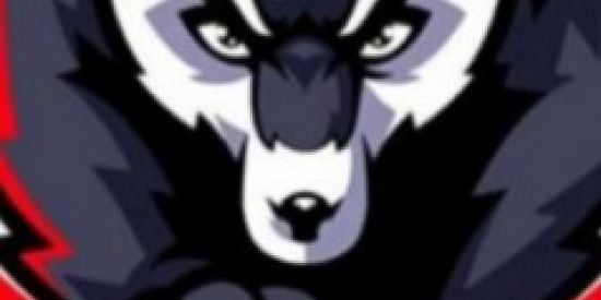 Imagem do grupo de WhatsApp fa c ção cyber wolves👑👑👑