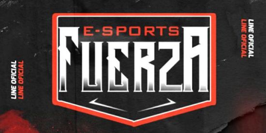 Imagem do grupo de WhatsApp TEAM FUERZA