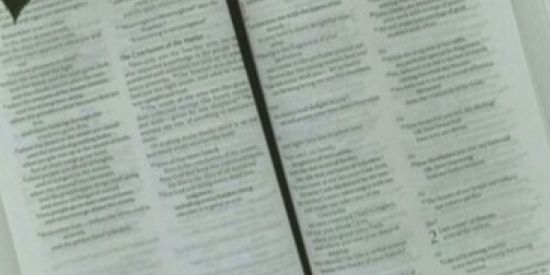 Imagem do grupo de WhatsApp Estudos particulares📖