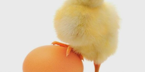 Imagem do grupo de WhatsApp Eu nunca!!! 🔥🔥