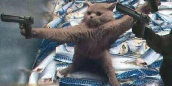 Imagem do grupo de WhatsApp SHIT PATRIOTS✅