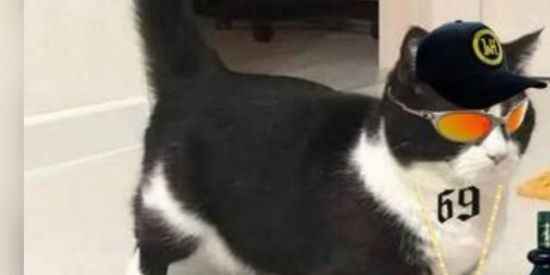 Imagem do grupo de WhatsApp Façao